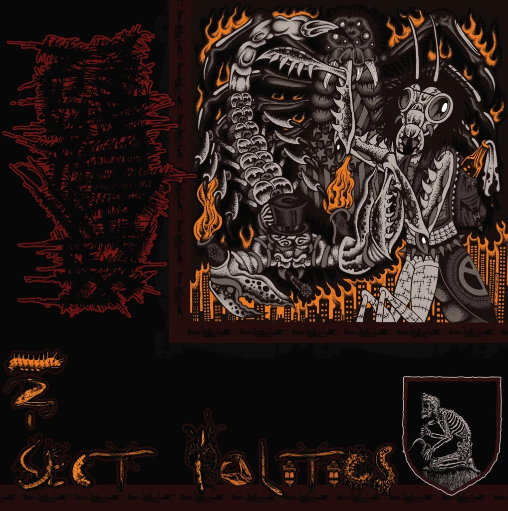 Misanthropic Aggression Insect Politics album cover